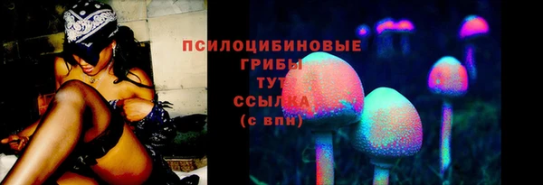 гидропоника Приозерск