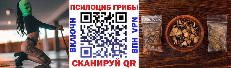 Купить где  Лукоянов  Псилоцибиновые грибы Psilocybe 